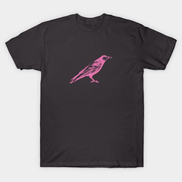 Crow T-Shirt by KickStart Molly